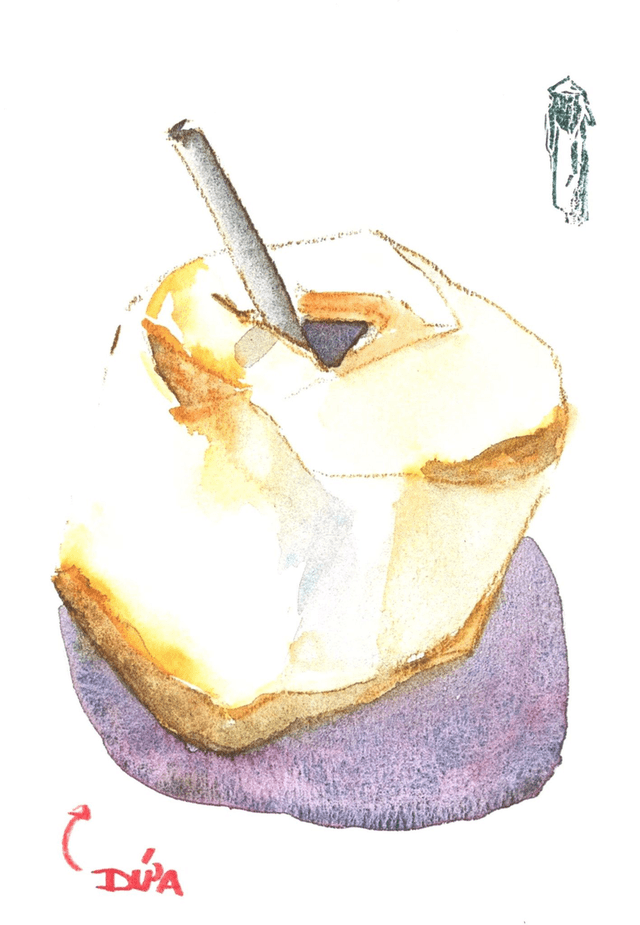 Carte Noix de Coco 
