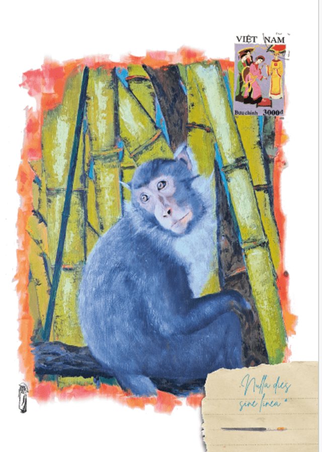 Carnet vierge Singe